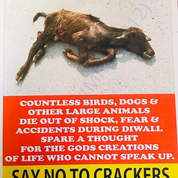 Stop Fire Crackers