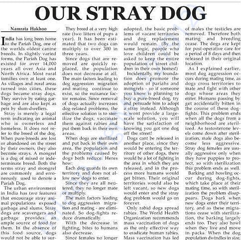 Newspaper articles written by us