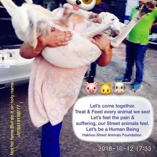 Rescues on street