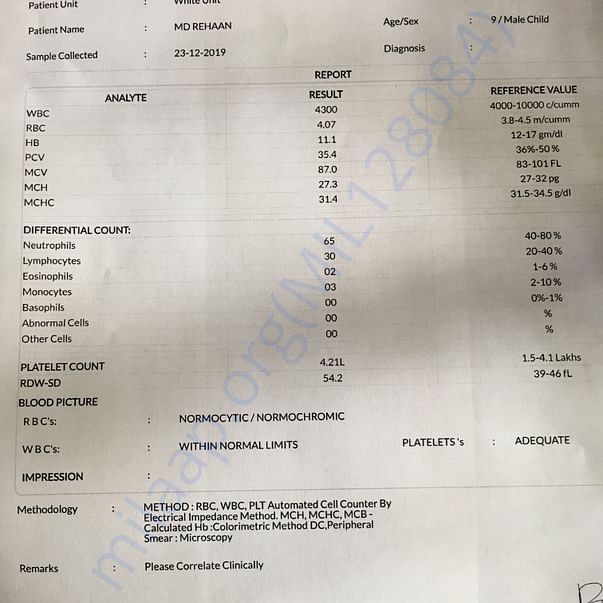 Medical Report