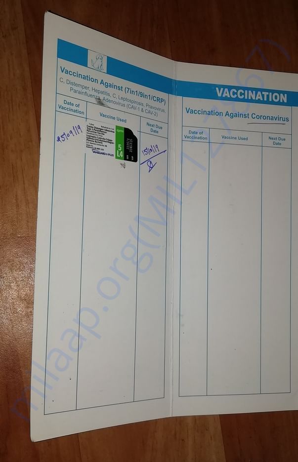 Every puppy gets vaccinated and it costs 750 per vaccination.