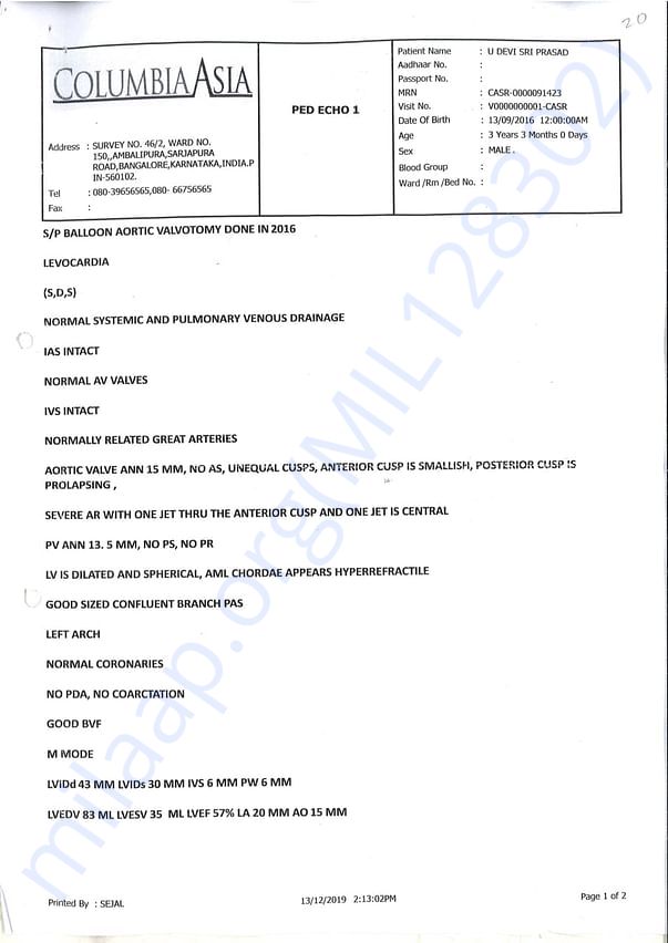 Document