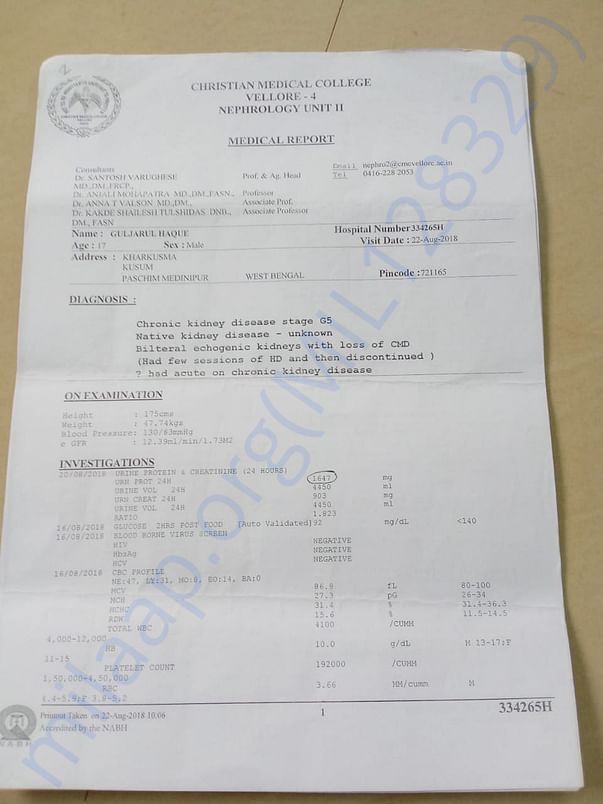 Document