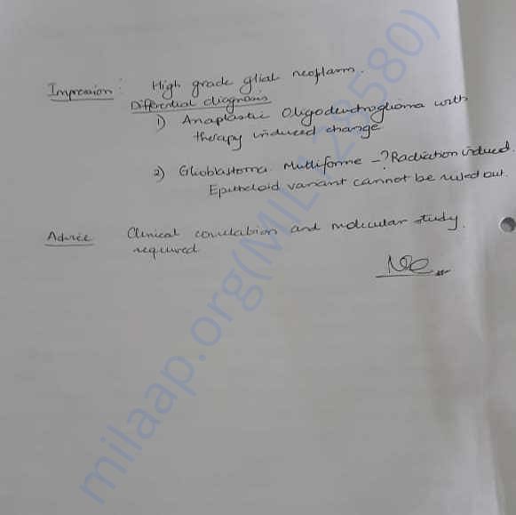 Medical Report