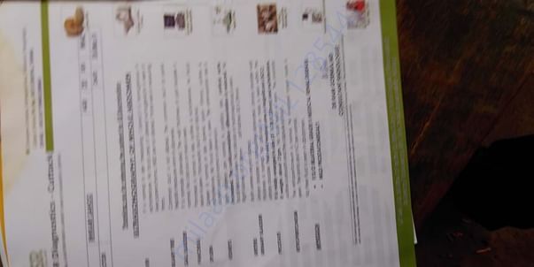 Document