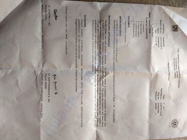 Document