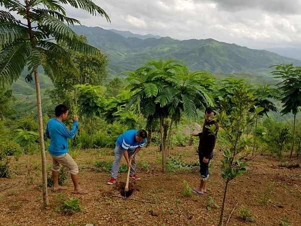 Massive Plantation Drive in Kanga Ching, Tellou, Manipur