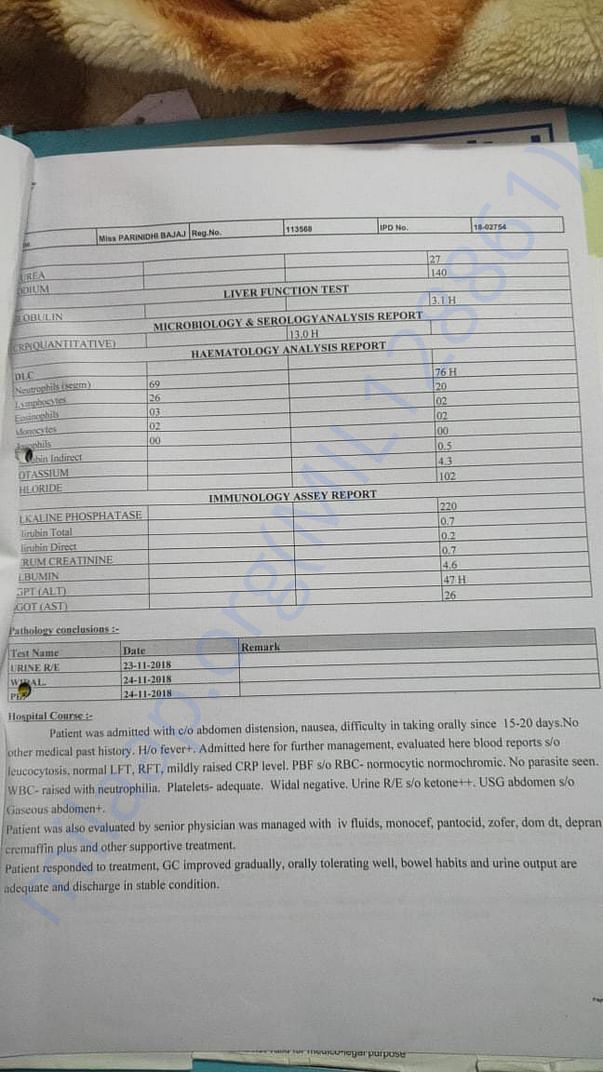 Report