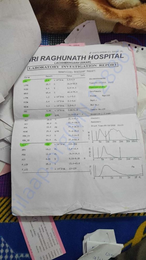 Diagnosis report
