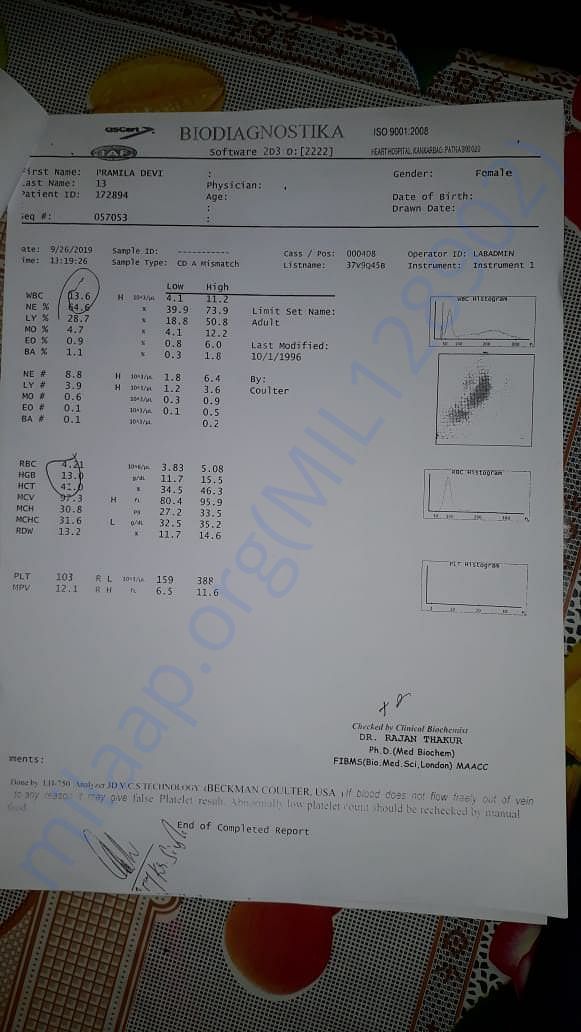 medical report