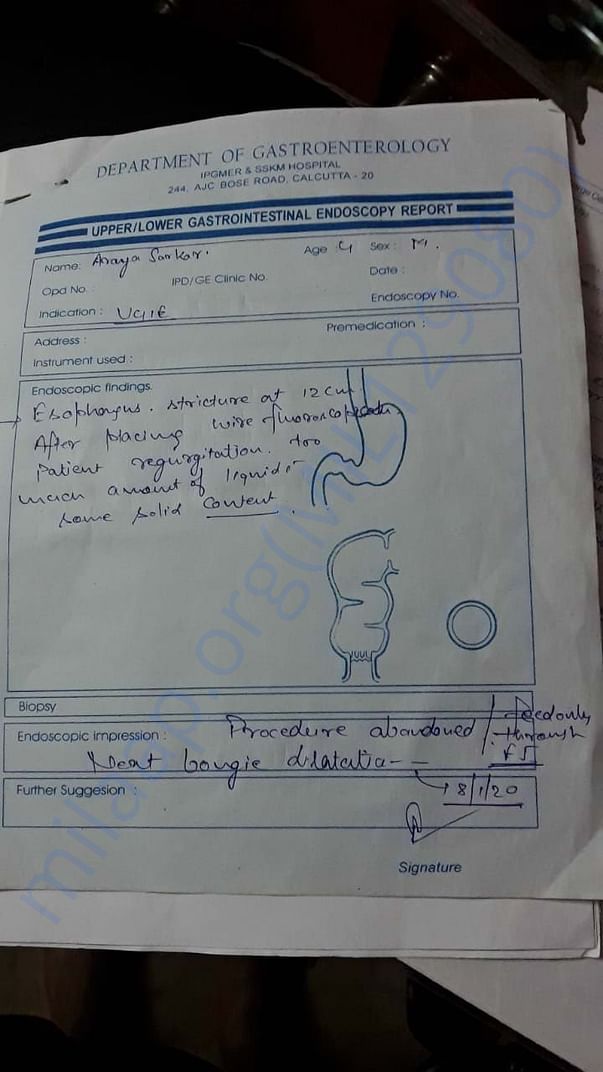 document 1