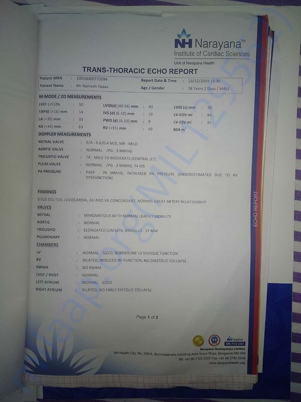 Reports