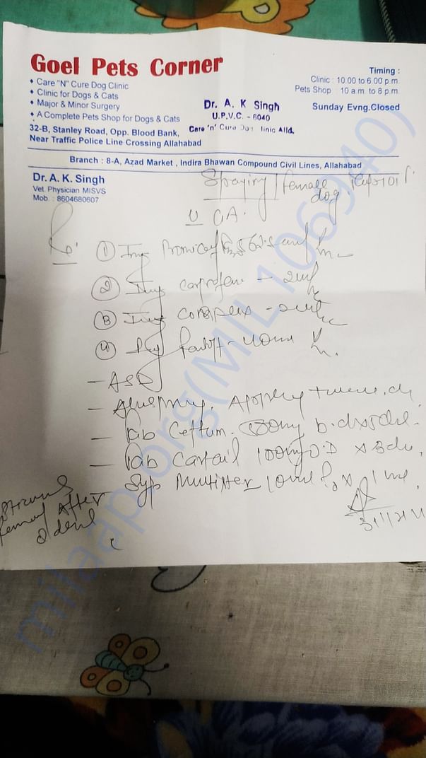 Spaying prescription list by senior vet