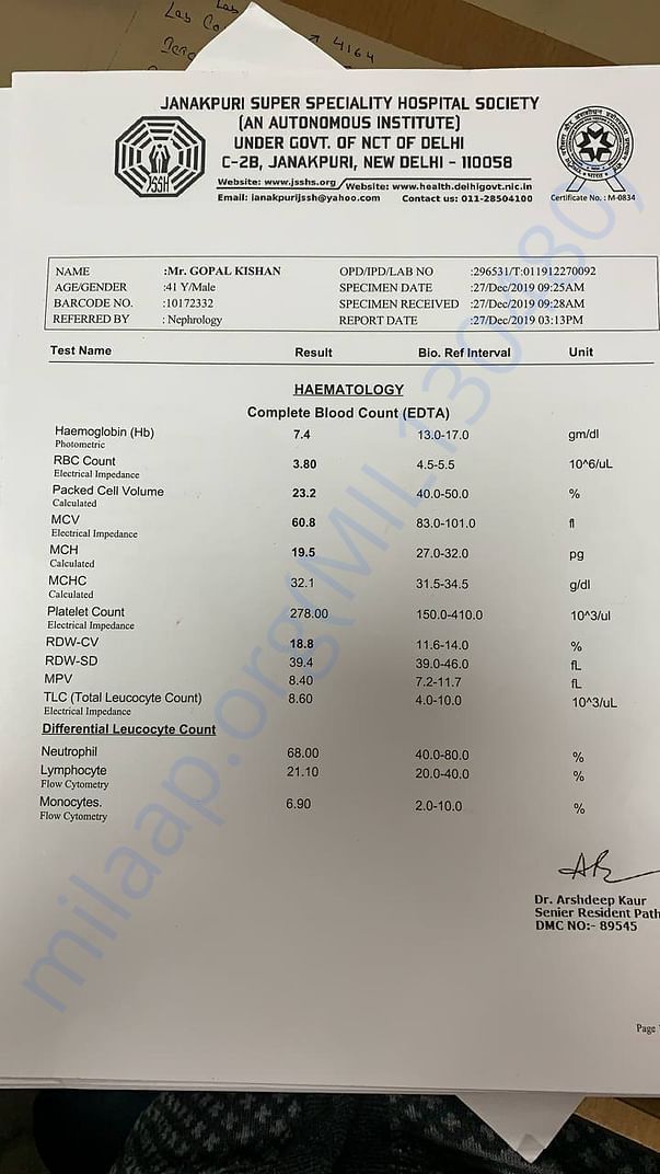 document 1