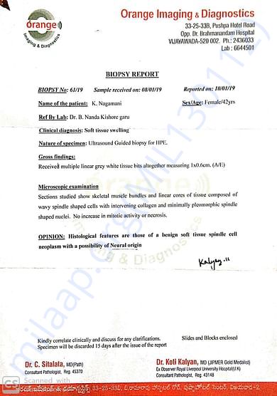 Diagnosis report