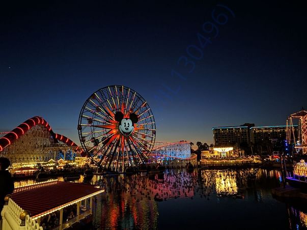 check out my photography