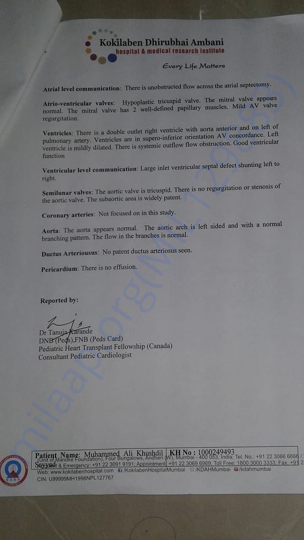 document 5