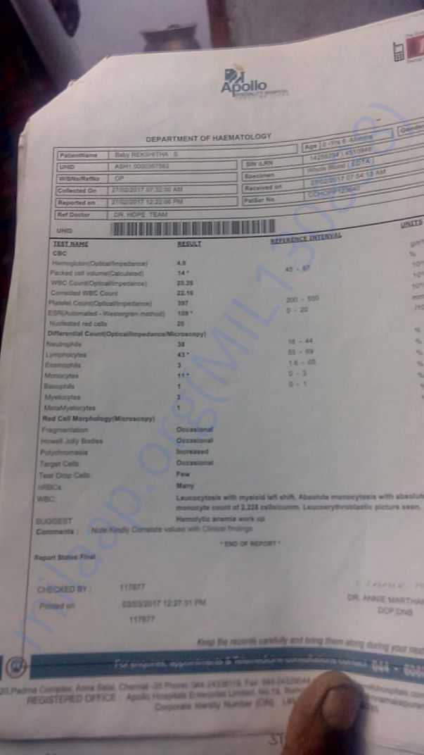 Document