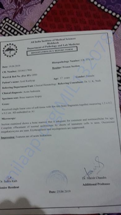 Document