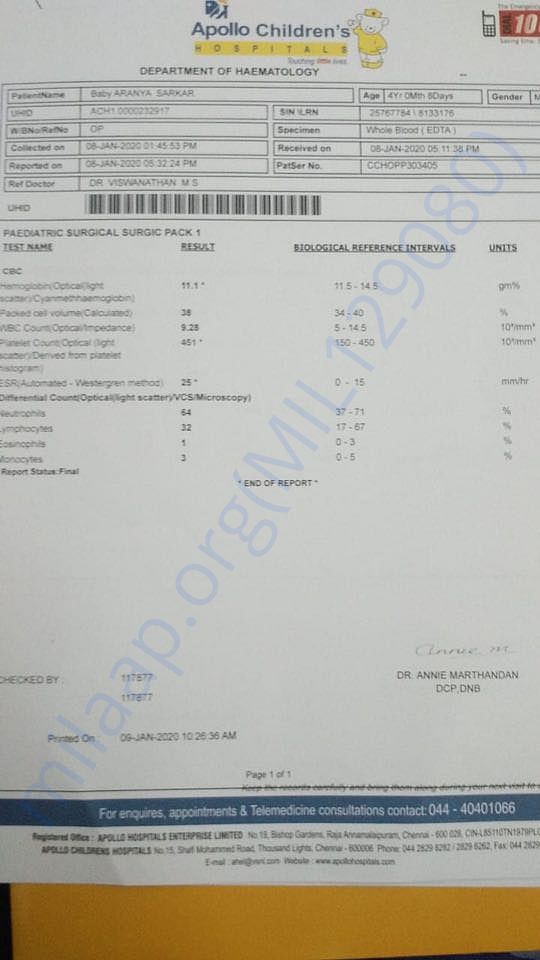 Testing Document