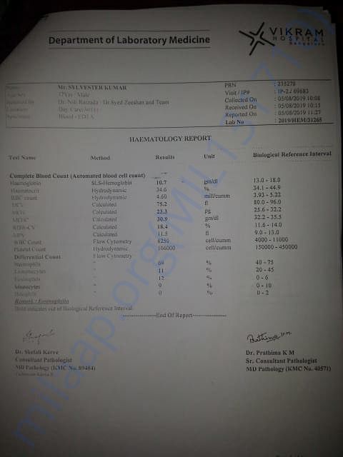 haematology report