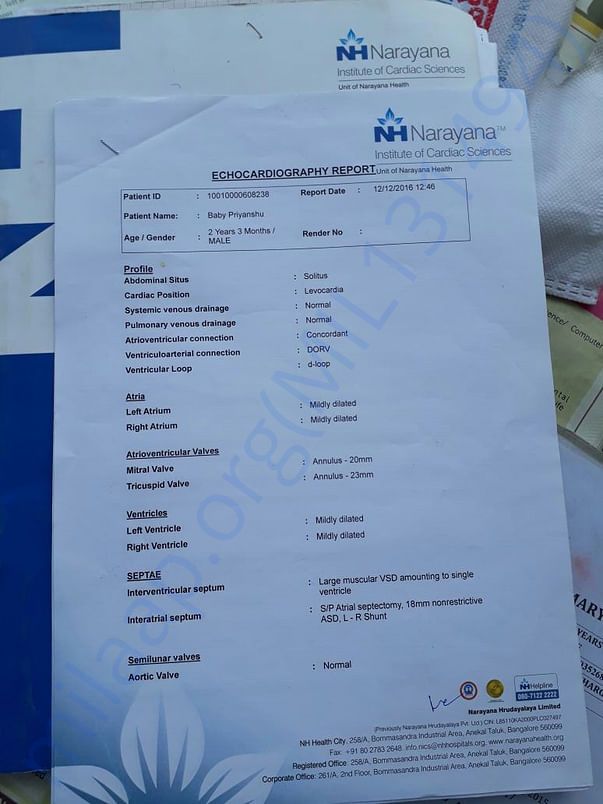 document3