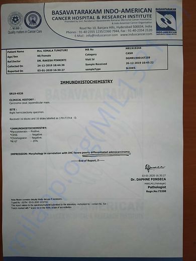 Treatment Report IHC