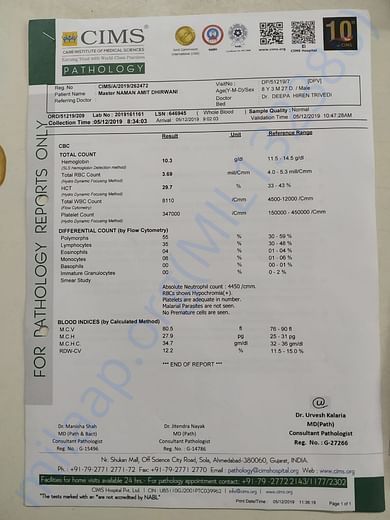 Naman's Report