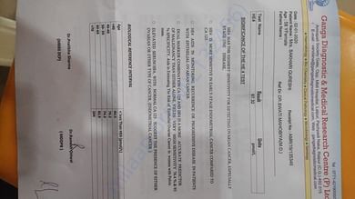 document 5