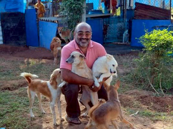 Help Surya and Anju Singh Build a Forever Home for 300+ Dogs