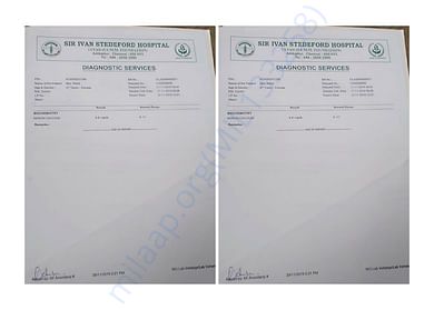 Rani_Medical Report_2020_08