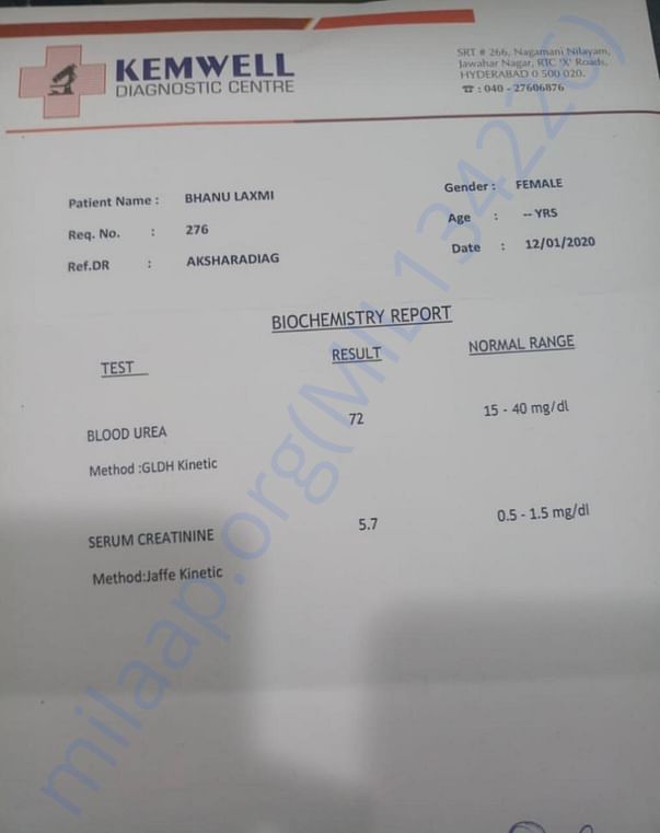 blood urea and creatine test