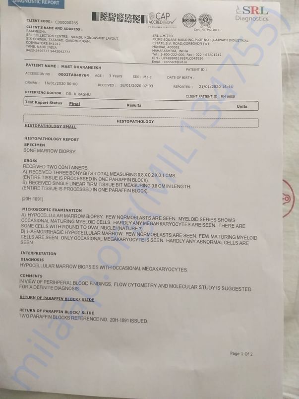 Document