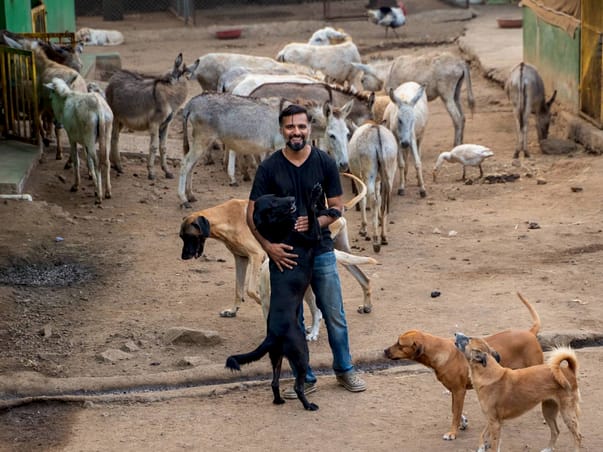 Help Sameer feed and take care of 400+ injured and abandoned animals