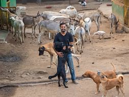 Help Sameer feed and take care of 400+ injured and abandoned animals