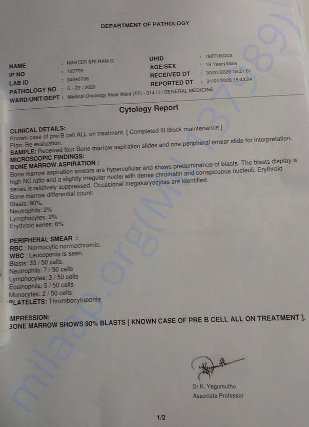 Document