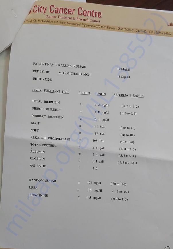 document 3
