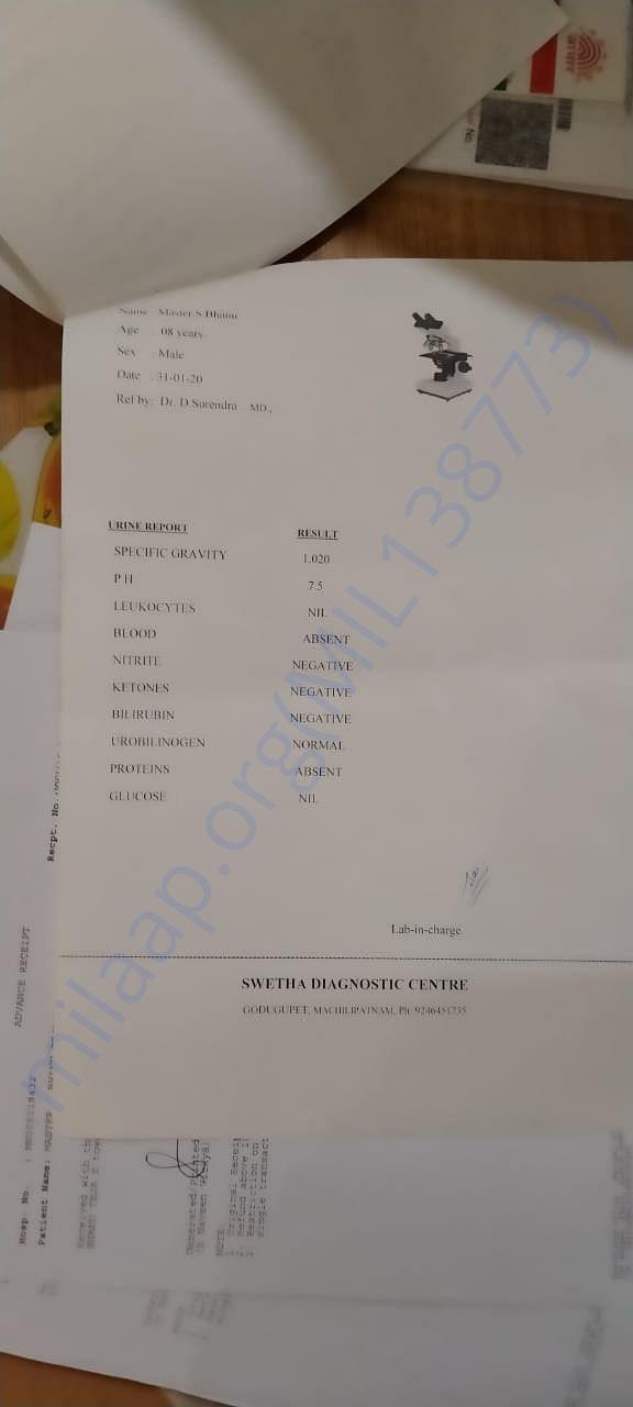 Document