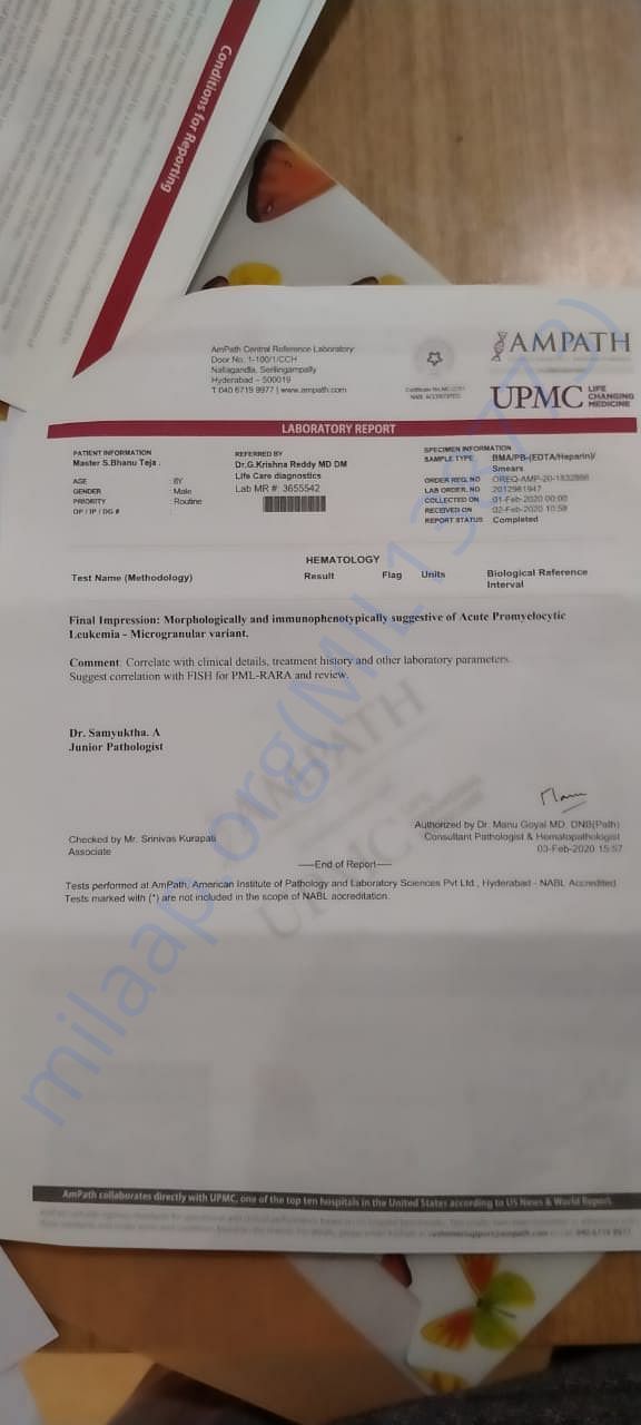 Document