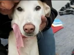 Help Mia retain her home.