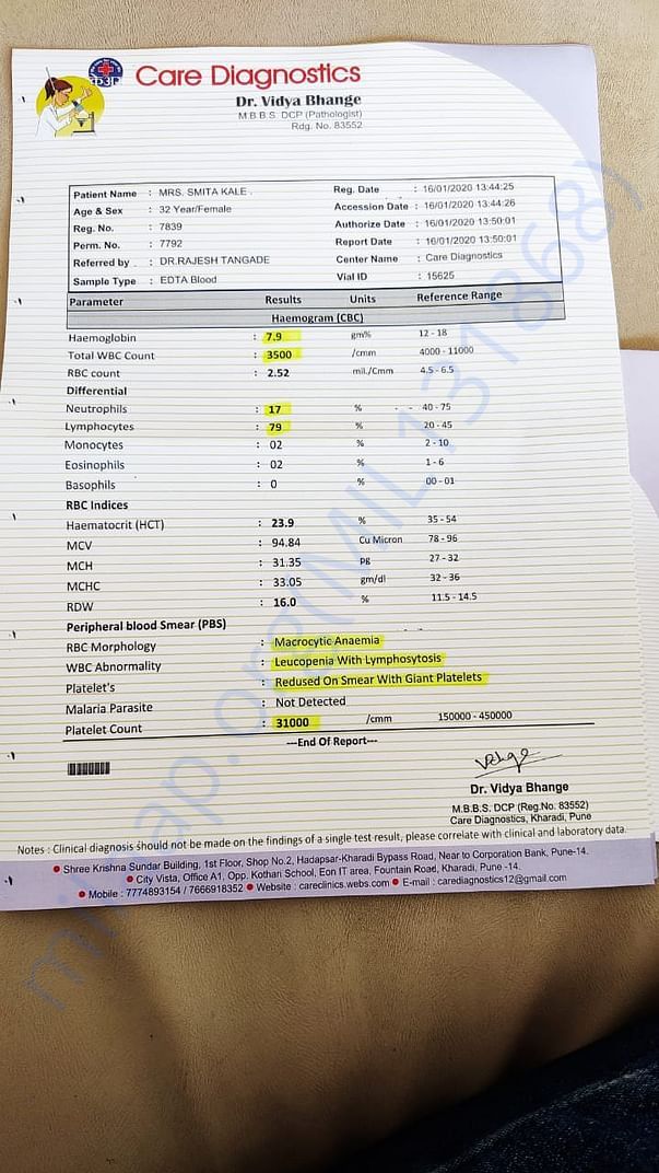 CBC report on weekly basis