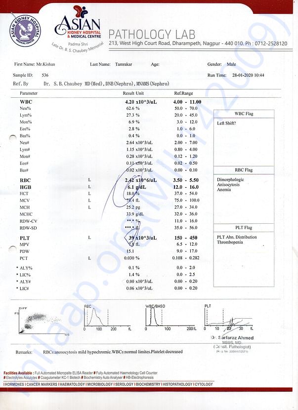 blood test reports