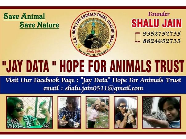 Support us in Conserving Wildlife