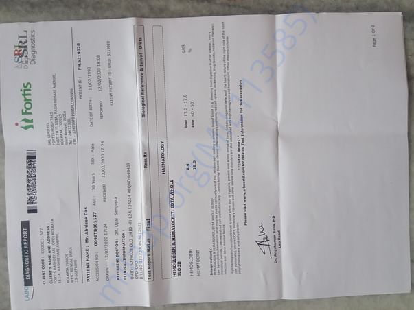 Latest report