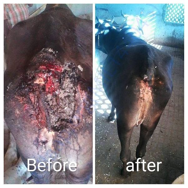 Before and after treatment