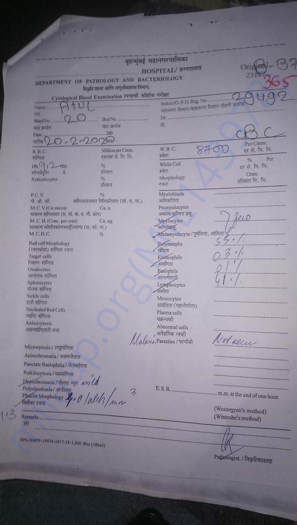 Document