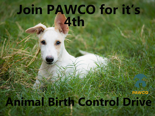 Help us raise money for our 4th Animal Birth Control Camp