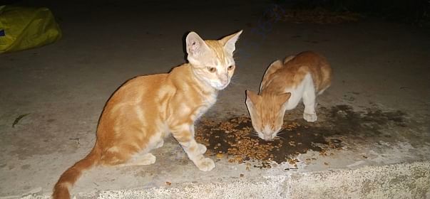 Mimi and Casper when they were younger