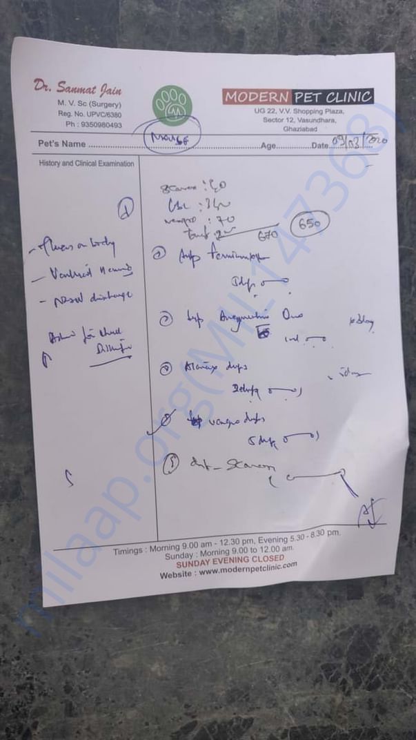 Mouse's prescription
