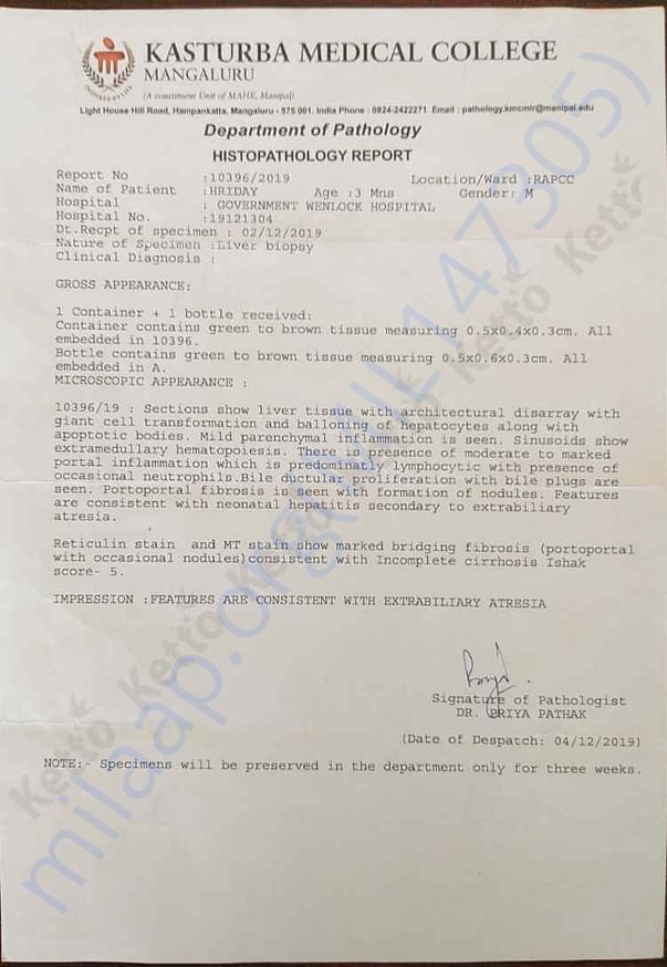 Histopathology report